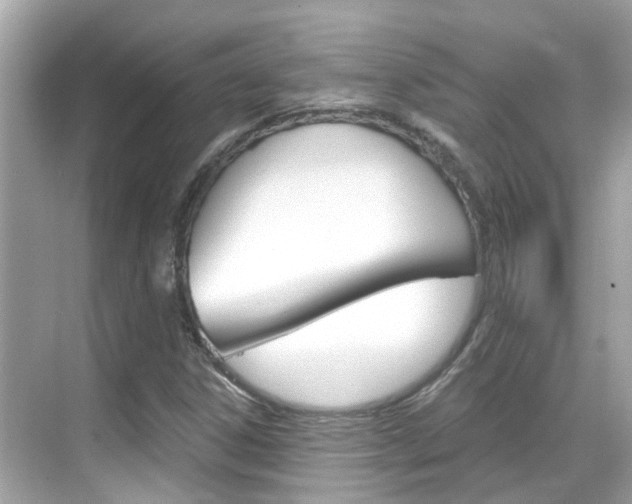 X0000068901306200605051130