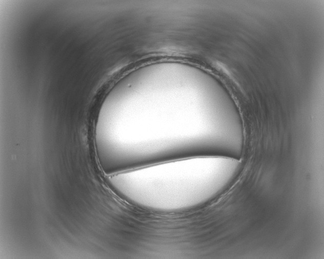 X0000068901307200605051130