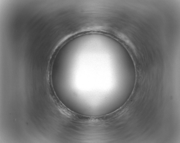X0000068901316200605051131