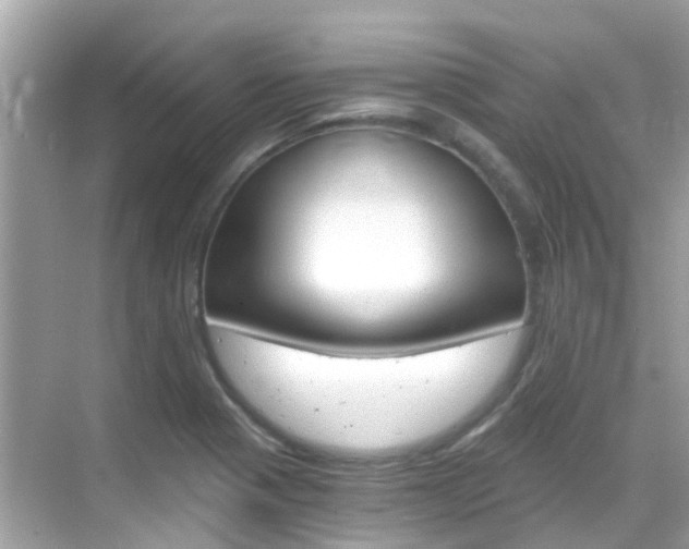 X0000068901321200605051131