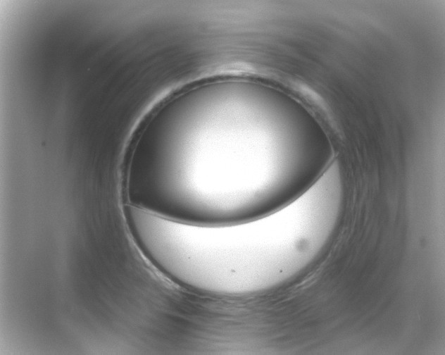 X0000068901326200605051131
