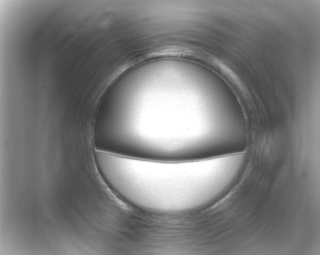 X0000068901329200605051131