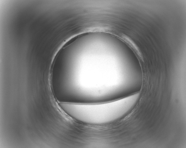 X0000068901340200605051131