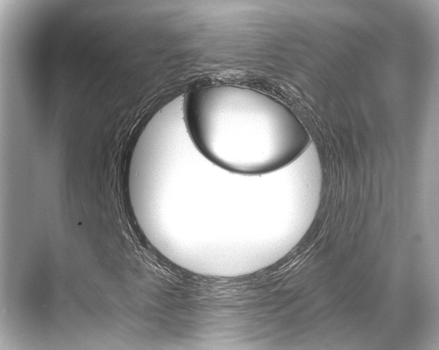 X0000068901345200605051130