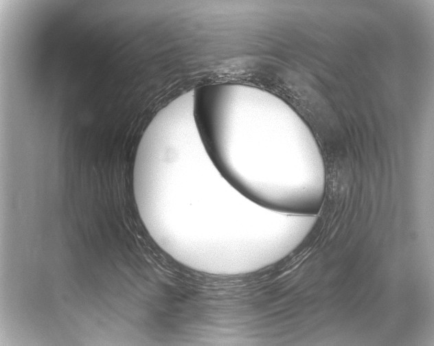 X0000068901346200605051130