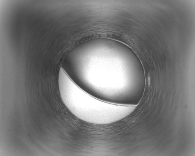 X0000068901347200605051130