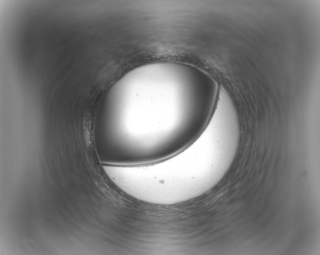 X0000068901348200605051130