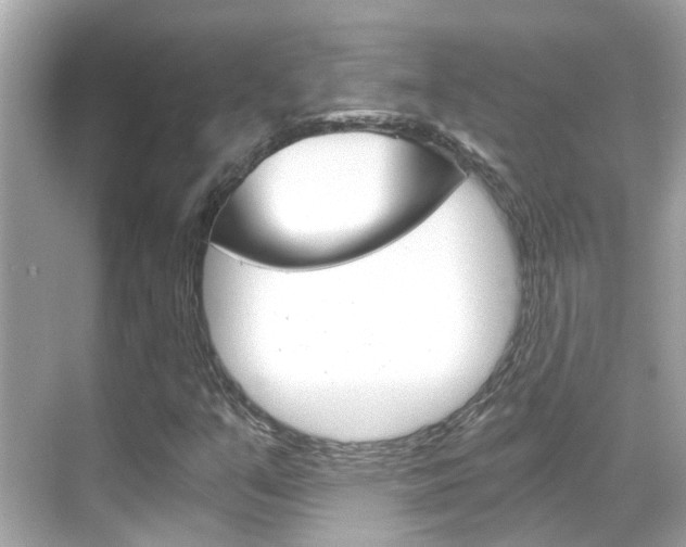 X0000068901351200605051130