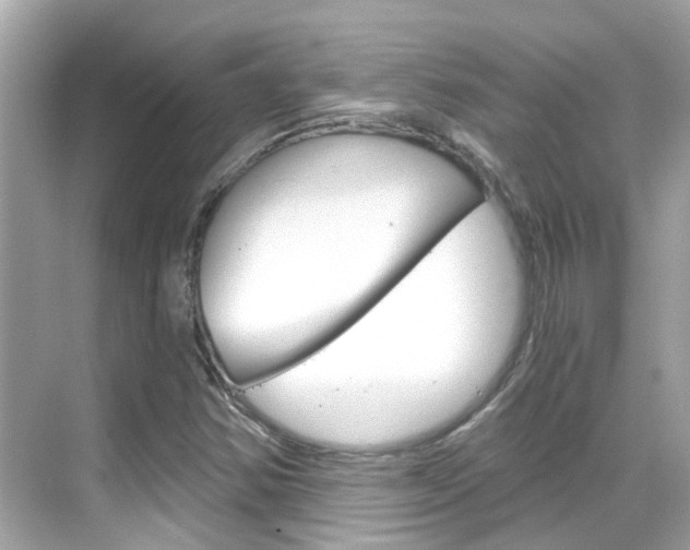X0000068901354200605051130