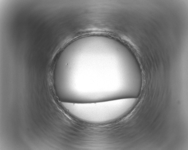 X0000068901357200605051130