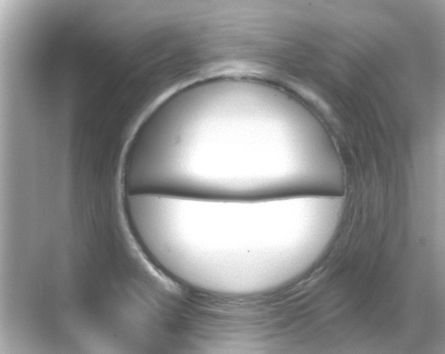X0000068901375200605051130