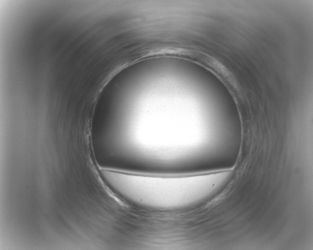 X0000068901377200605051130