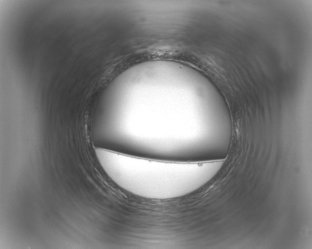 X0000068901396200605051129