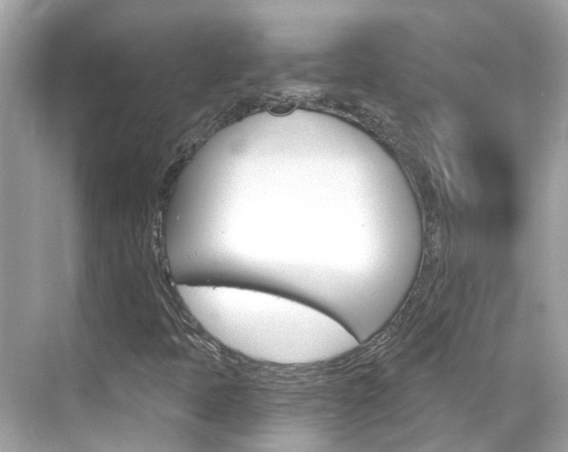X0000068901397200605051129