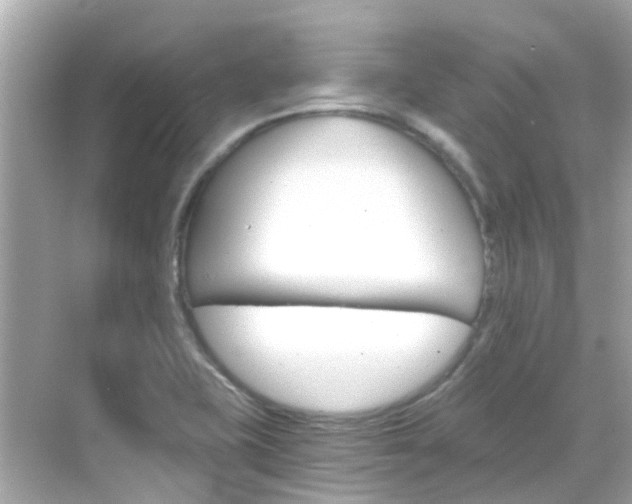 X0000068901415200605051129