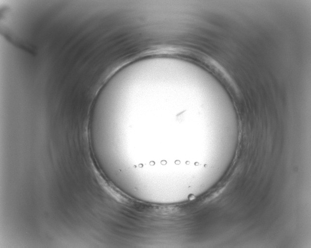 X0000068901417200605051129