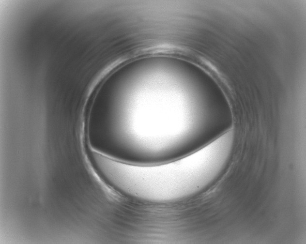 X0000068901418200605051129