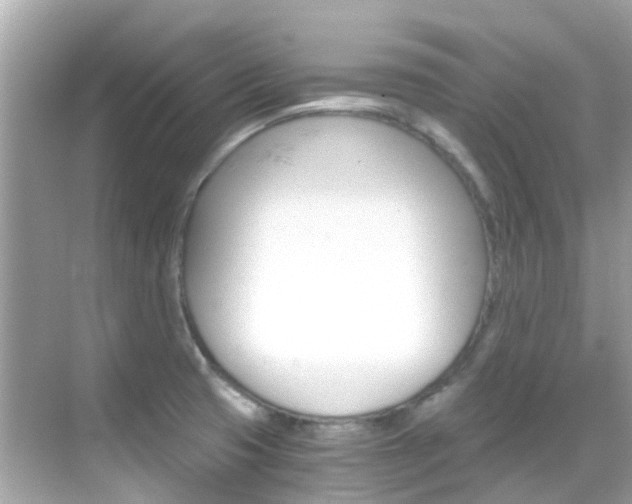 X0000068901425200605051129