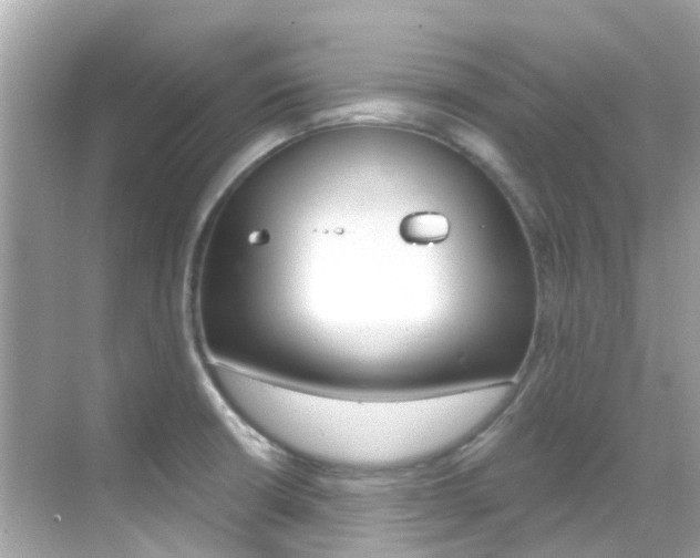 X0000068901426200605051129