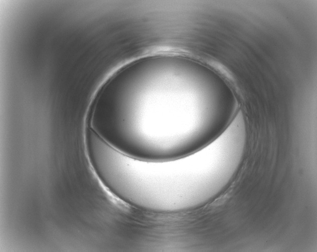 X0000068901430200605051129