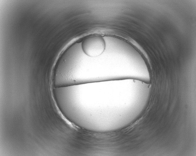 X0000068901437200605051129