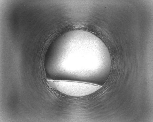 X0000068901441200605051129
