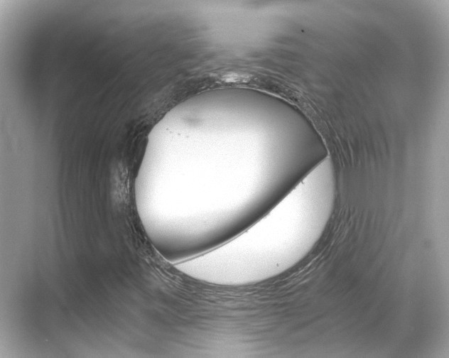 X0000068901443200605051129
