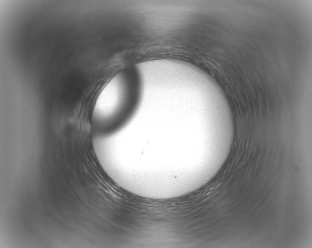 X0000068901444200605051129