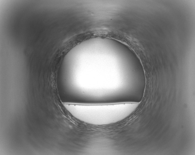 X0000068901445200605051129