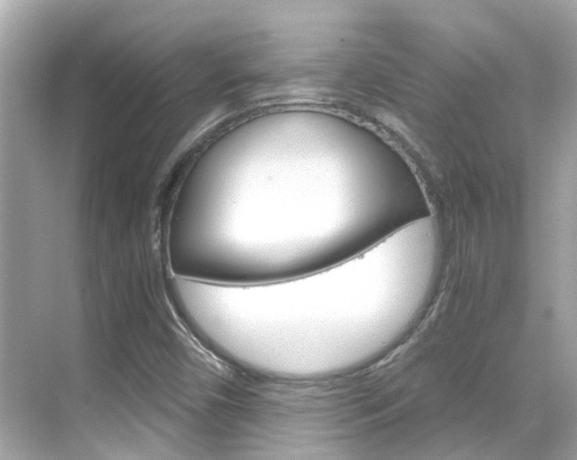X0000068901450200605051128
