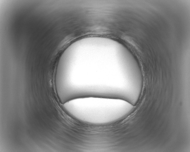 X0000068901451200605051128