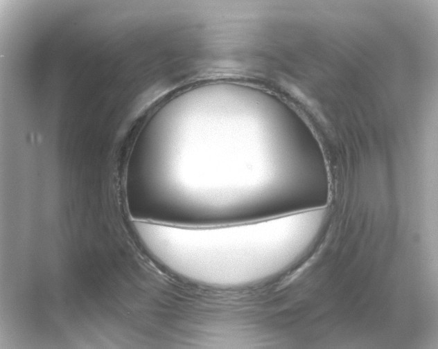 X0000068901453200605051128
