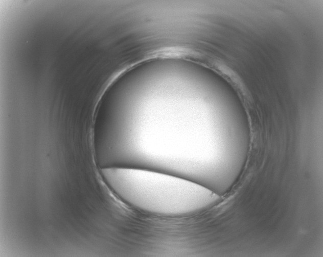 X0000068901473200605051128