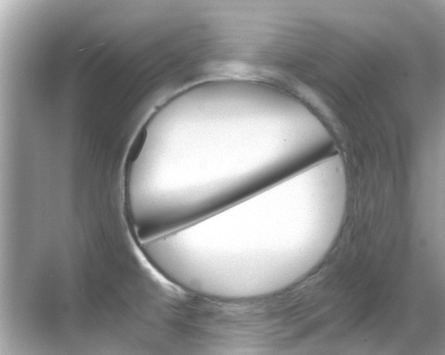 X0000068901479200605051128