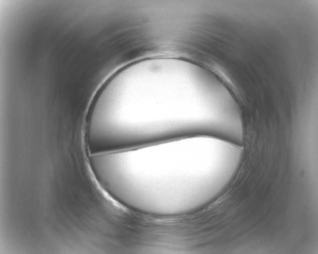 X0000068901484200605051128