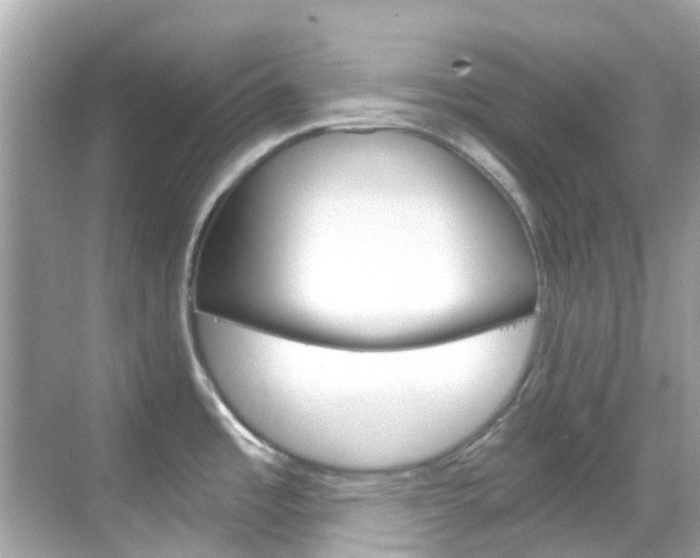 X0000068901485200605051128