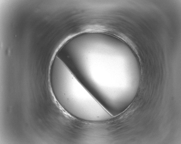 X0000068901488200605051128