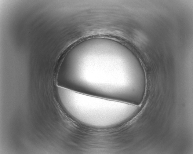 X0000068901497200605051127