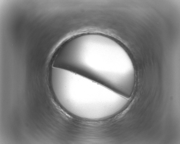 X0000068901502200605051127
