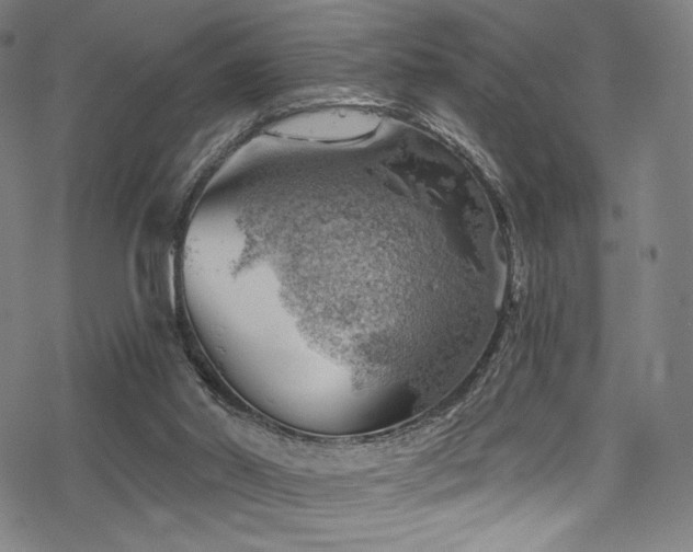 X0000068900014200605051434