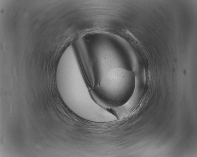 X0000068900045200605051434