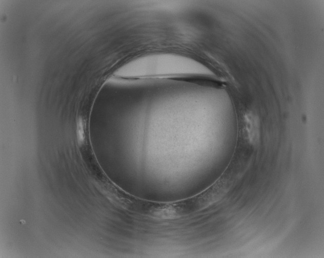 X0000068900075200605051433