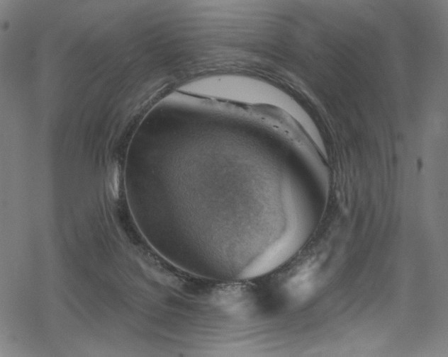 X0000068900076200605051433