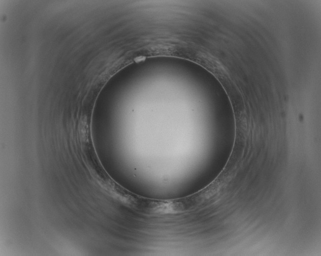 X0000068900083200605051434