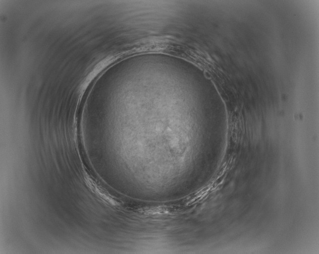 X0000068900100200605051433