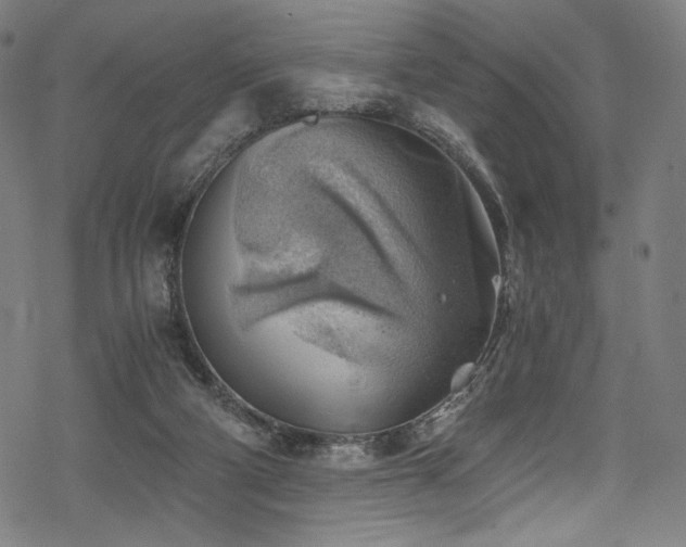 X0000068900114200605051433