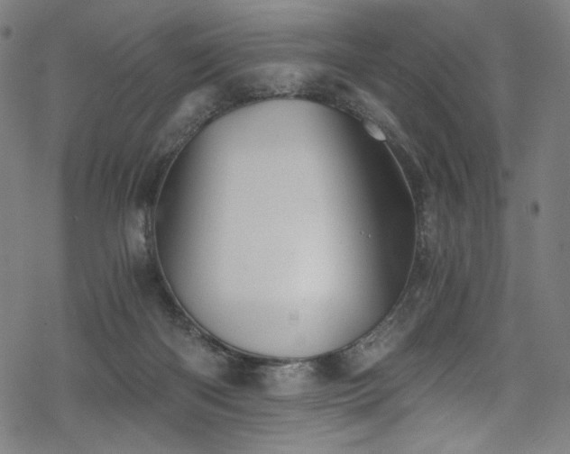 X0000068900122200605051433