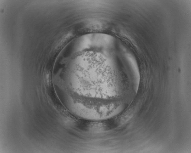 X0000068900123200605051433