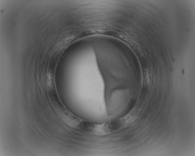 X0000068900130200605051432