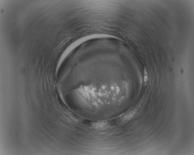 X0000068900139200605051432